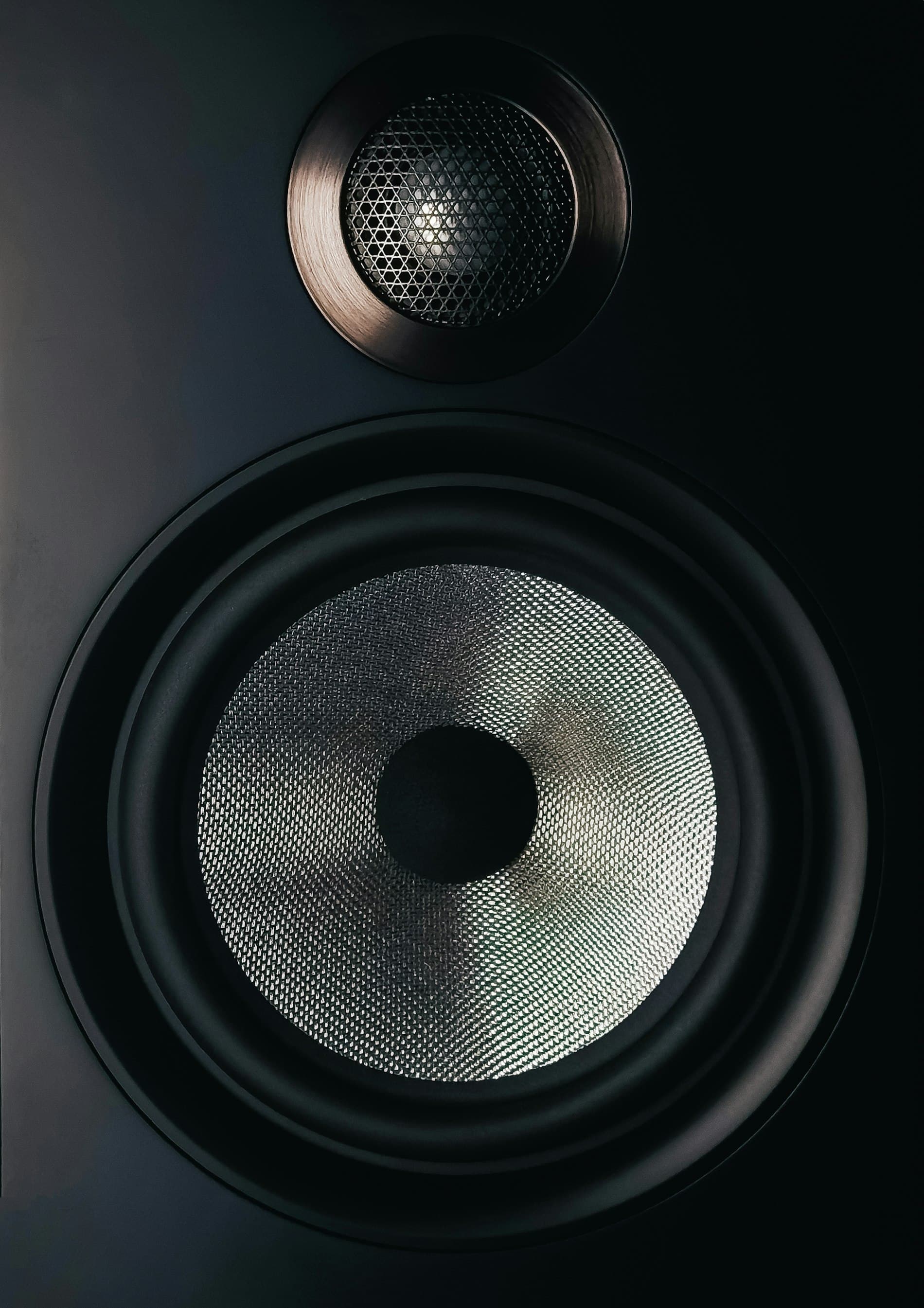 Premium Welltron sound system speaker
